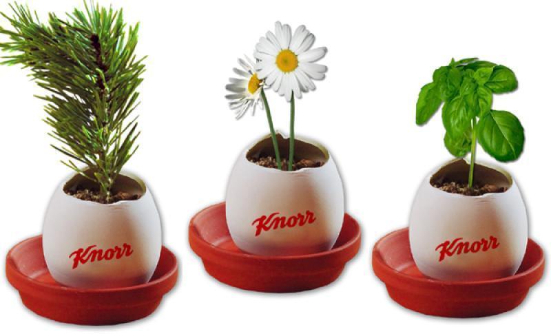 Egg Planters