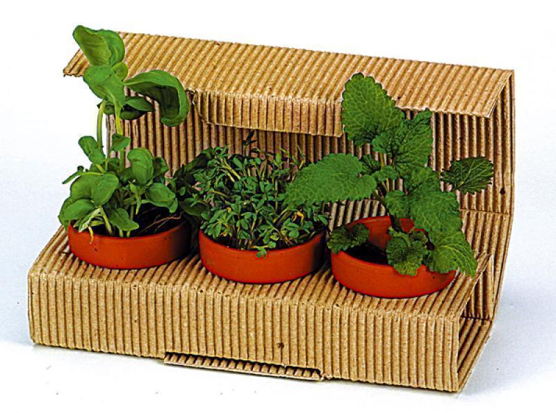 3 in 1 Desktop Garden Pack