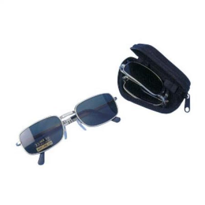 Folding Sunglass in Case